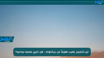 تير شتيجن يغيب طويلاً عن برشلونة.. هل أجرى عملية جراحية؟